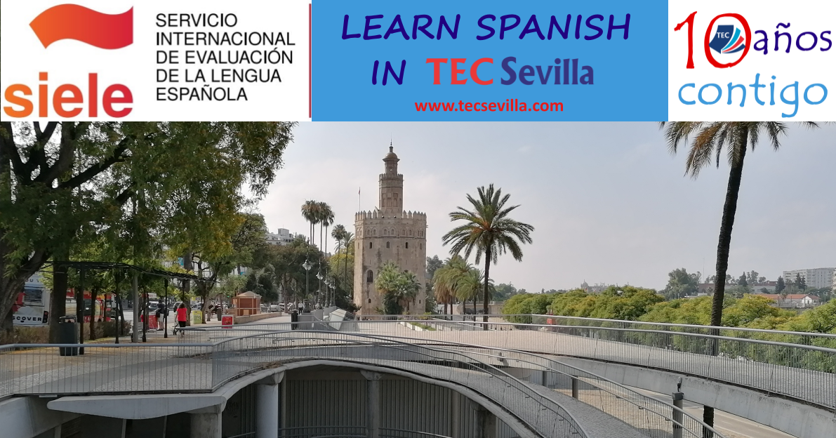 learn study spanish sevilla